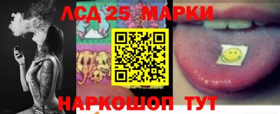 прущие грибы Усть-Джегута